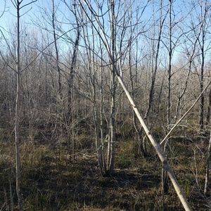 Meet your Posher, Luis